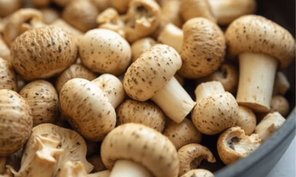 Close-up of fresh Baby Bella mushrooms in a bowl, showcasing their natural texture and earthy tones