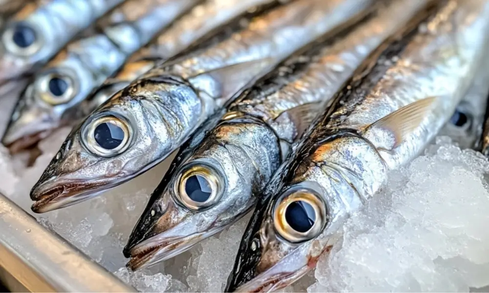 Fresh boquerones (European anchovies) displayed on ice with their silver scales and open mouths, perfect for Mediterranean dishes.